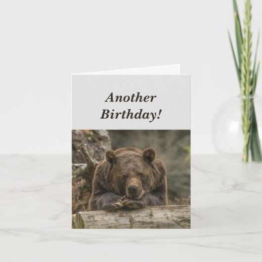 Carte Funny Birthday est le Grizzly Bear Humour (Devant)