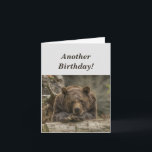 Carte Funny Birthday est le Grizzly Bear Humour<br><div class="desc">Funny Birthday it's Grizzly Bear Humor Great birthday for anyone in your life who isn't happy to be getting older.</div>