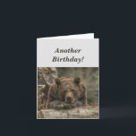 Carte Funny Birthday est le Grizzly Bear Humour<br><div class="desc">Funny Birthday it's Grizzly Bear Humor Great birthday for anyone in your life who isn't happy to be getting older.</div>