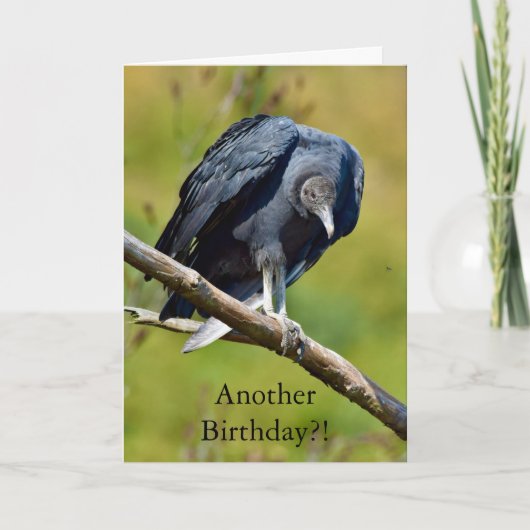 Carte Funny black vulture birthday card (Devant)