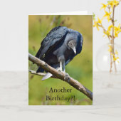 Carte Funny black vulture birthday card (Fleur jaune)