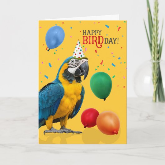 Carte Funny Blue and Gold Macaw Parrot Birthday (Devant)