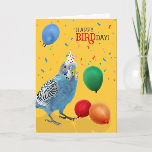 Carte Funny Blue and White Budgie Parakeet Birthday (Devant)