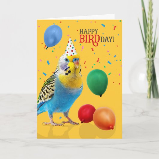 Carte Funny Blue and Yellow Budgie Parakeet Birthday (Devant)