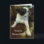 Carte Funny Boston Terrier Birthday Card (Animal Rescue)<br><div class="desc">Cette carte présente un adorable Boston Terrier qui est comiquement choqué de découvrir votre âge et serait parfait pour toute personne qui a besoin d'une carte d'anniversaire drôle ou même juste une dose quotidienne de mignonette. En outre, 5% des pourcentages de chaque vente sont donnés à des sauveteurs d'animaux, donc...</div>
