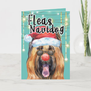 Carte Funny Briard chien dans les lumières puces navidog