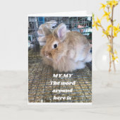 CARTE **FUNNY BUNNY** DIRE HEUREUX ANNIVERSAIRE (Fleur jaune)