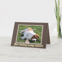 Funny Bushy Tailed Get Well Card w/Basset Hound