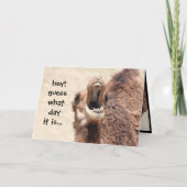 Carte Funny Camel Hump Day Retirement Card (Devant)