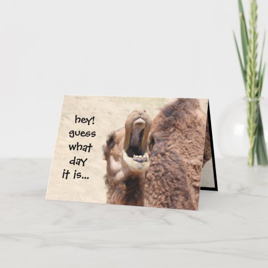 Carte Funny Camel Hump Day Retirement Card (Devant)