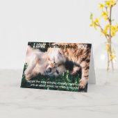 Carte Funny Cat and Dog Birthday Card (Fleur jaune)