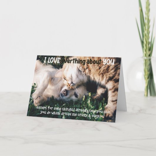 Carte Funny Cat and Dog Birthday Card (Devant)