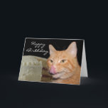 Carte Funny cat Birthday<br><div class="desc">Orange tabby cat licks his chops at a birthday cake Phobithday card card.  Text can be changed or removed with the CUSTOMIZE button.</div>