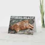 Carte Funny Cat Birthday Greeting Card<br><div class="desc">Funny Cat chilling Birthday greeting Card for the cat lovers in your life. This cute greeting card is a perfect way to wish Happy Birthday to a friend,  co-worker,  family member or a special someone.</div>