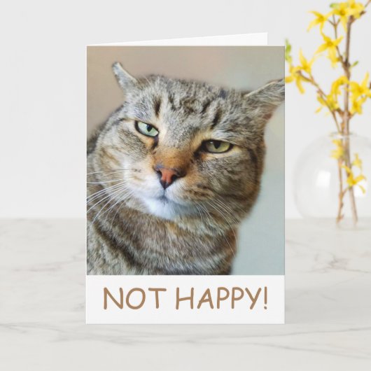 Carte Funny Cat Cancer Support (Fleur jaune)