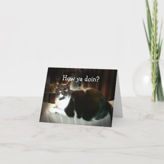 Carte Funny Cat Card Comment Ya Doin, Penser à vous (Devant)