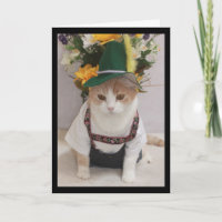 Funny Cat German