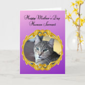 Carte Funny Cat gouverne la fête des mères au foyer (Fleur jaune)