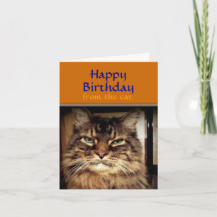 Carte Funny Cat Smile c'est ton anniversaire Greeting