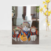 Carte Funny Cats Cinco de Mayo (Fleur jaune)