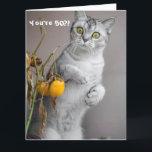 Carte Funny Chat Happy 50th Birthday Card<br><div class="desc">Ce design présente une drôle d'image d'un chat ! Idéal pour des occasions spéciales telles que anniversaires,  anniversaires et plus encore. Si vous souhaitez personnaliser la conception en modifiant le message,  l'âge ou la police,  cliquez sur "Modifier la conception".</div>