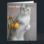 Carte Funny Chat Happy 50th Birthday Card<br><div class="desc">Ce design présente une drôle d'image d'un chat ! Idéal pour des occasions spéciales telles que anniversaires,  anniversaires et plus encore. Si vous souhaitez personnaliser la conception en modifiant le message,  l'âge ou la police,  cliquez sur "Modifier la conception".</div>