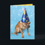 Carte Funny Chihuahua In Birthday Party Hat<br><div class="desc">This grimacing Chihuahua is not too thrilled about having another birthday. Le moût de la bête. The inside says,  "Today's your day to be in the spotlight! Smile and have a happy birthday!" Or whatever you want it to say.</div>