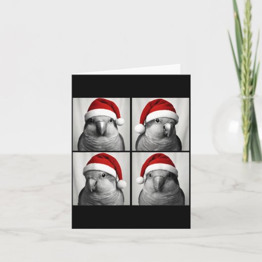 Carte Funny Christmas Quaker Parrot Santa Photo Booth (Devant)