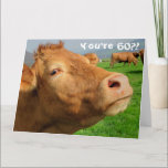 Carte Funny Cow Happy 60th Birthday Card<br><div class="desc">Ce design présente une drôle d'image d'une vache ! Idéal pour des occasions spéciales telles que anniversaires,  anniversaires et plus encore. Si vous souhaitez personnaliser la conception en modifiant le message,  l'âge ou la police,  cliquez sur "Modifier la conception".</div>