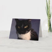 Carte Funny Custom "From the Cat" Anniversaire (Devant)