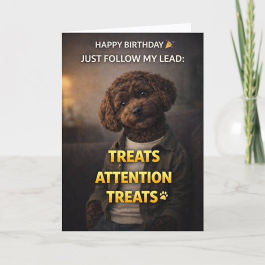 Carte Funny Dog Birthday Card Treats Attention Cockapoo (Devant)