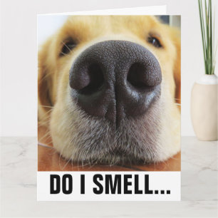 CARTE FUNNY DOG BIRTHDAY, SMELL BIRTHDAY CAKE? CARD