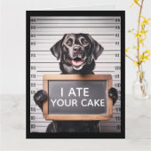CARTE FUNNY DOG BRTHDAY MUGSHOT GREETING CARD (Fleur jaune)