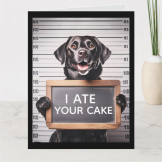 CARTE FUNNY DOG BRTHDAY MUGSHOT GREETING CARD