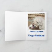 Carte Funny Dog & Ice Cream Birthday (Intérieur)