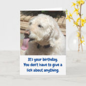 Carte Funny Dog & Ice Cream Birthday (Fleur jaune)