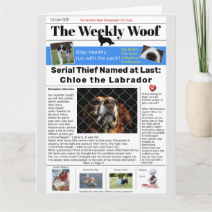 Carte Funny Dog Newspaper