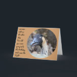 Carte Funny Duck Birthday card, Over the Hill<br><div class="desc">Funny Duck Birthday card,  Over the Hill</div>