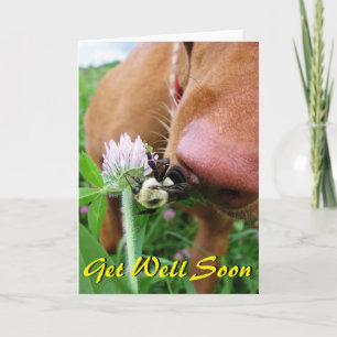 Carte Funny "Get Well Bientôt"