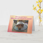 Carte Funny Get Well Card Chien dans le cône (Fleur jaune)