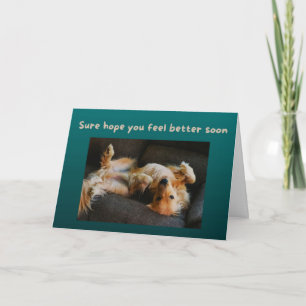 Carte Funny Get Well Card Dog A Besoin De Ses Brouilles 