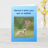 Carte Funny Get Well Card Dog devant Outhouse (Fleur jaune)