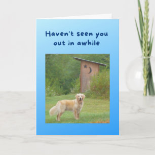 Carte Funny Get Well Card Dog devant Outhouse