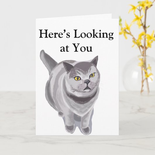 Carte Funny graisse chat (Fleur jaune)