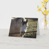 Carte Funny Grey Mare (Fleur jaune)