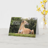 Carte Funny Greyhound Dog Anniversaire (Fleur jaune)