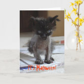Carte Funny Halloween Zombie Kitty Card (Fleur jaune)