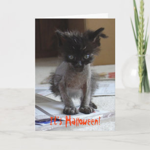 Carte Funny Halloween Zombie Kitty Card