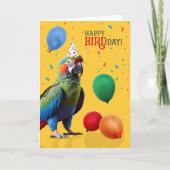 Carte Funny Harlequin Macaw Parrot Birthday (Devant)