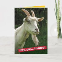 Funny Hey Girl, Hey Ryan Gosling Goat Spoof